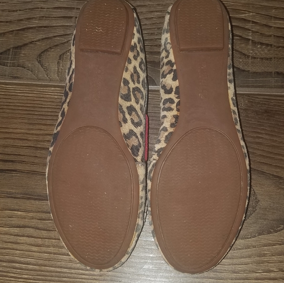 Sperry Flats - Picture 3 of 6